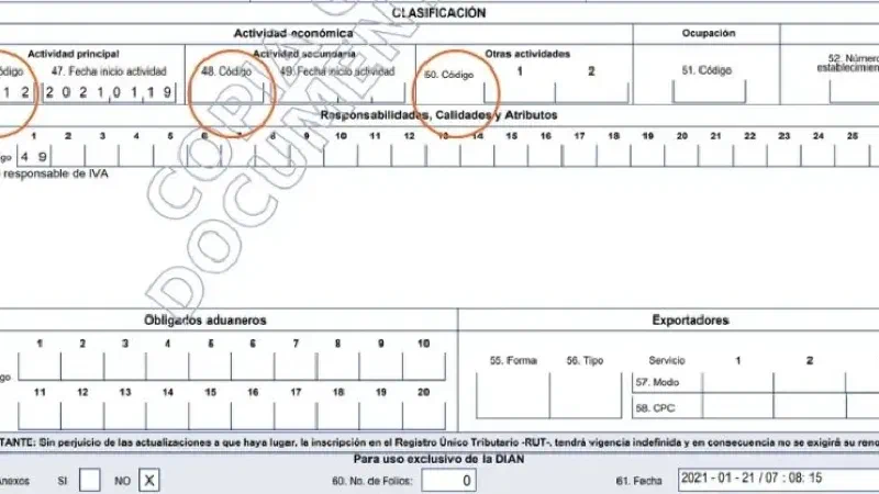  Muestra de cómo conseguir el código CIIU en el RUT Registro único tributario